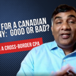Part 2: U.S. LLC for Canadians Doing Business in the U.S — Solutions