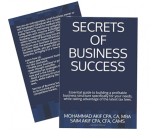 secrets of success book